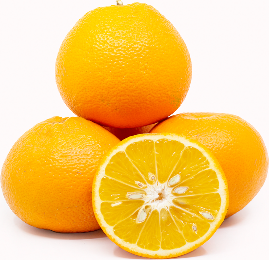 Oranges /KG